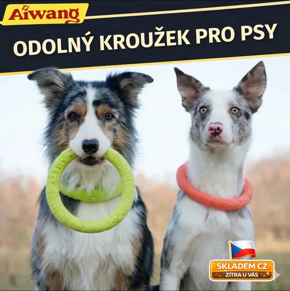 Odolný TPR kroužek pro psy – hračka na aportování a přetahování, plovoucí ve vodě